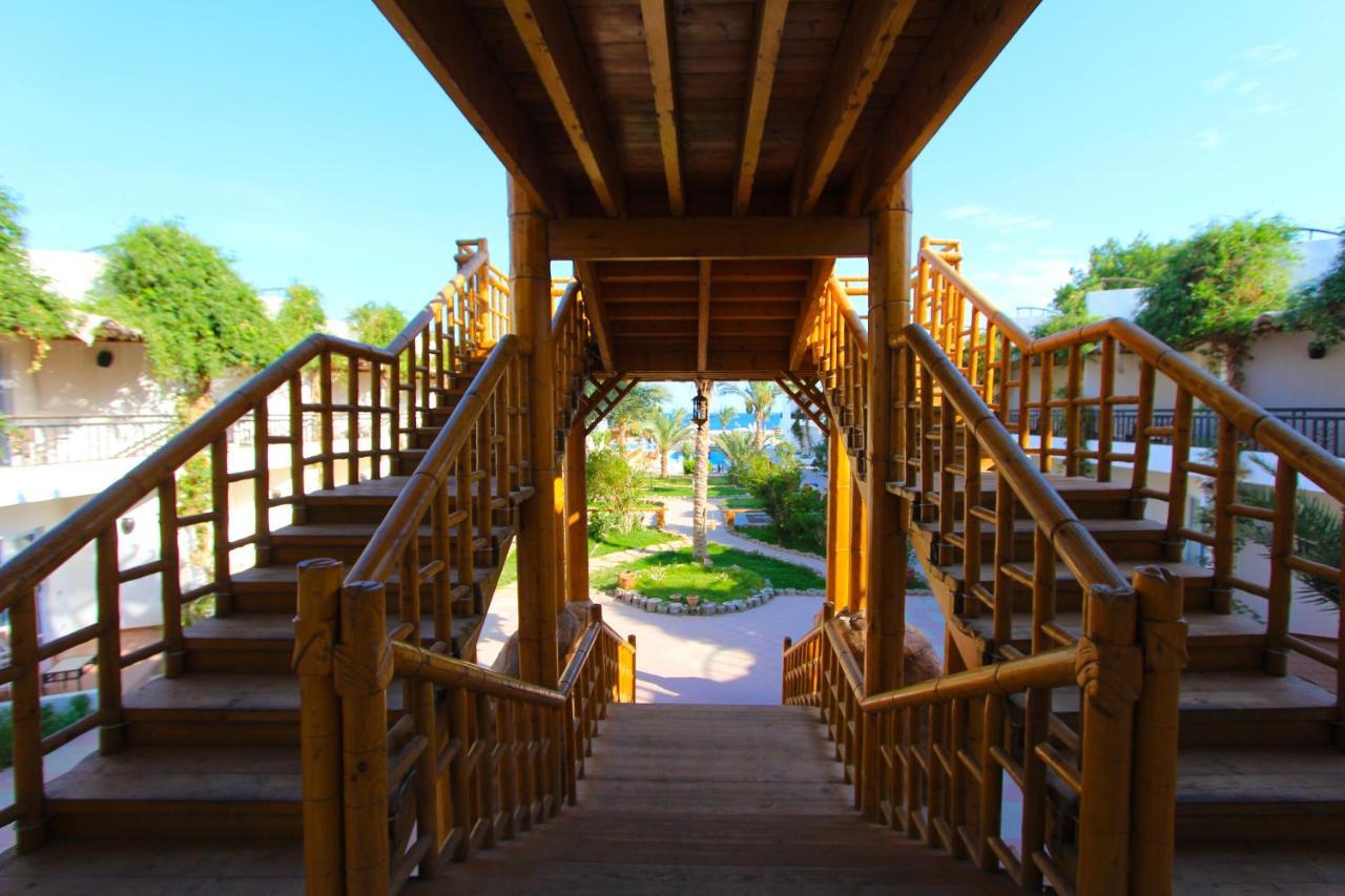 Panda Resort Dahab Exterior photo